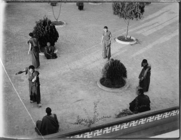 Dialectic_yard 4X   #30001